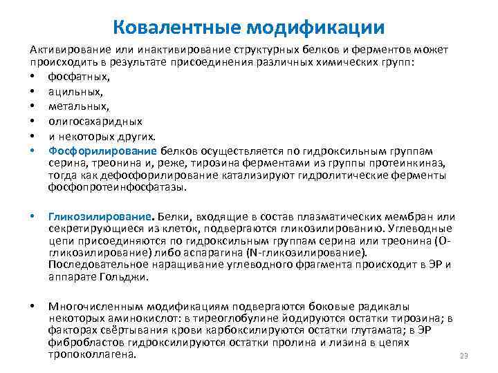 Ковалентные модификации Активирование или инактивирование структурных белков и ферментов может происходить в результате присоединения