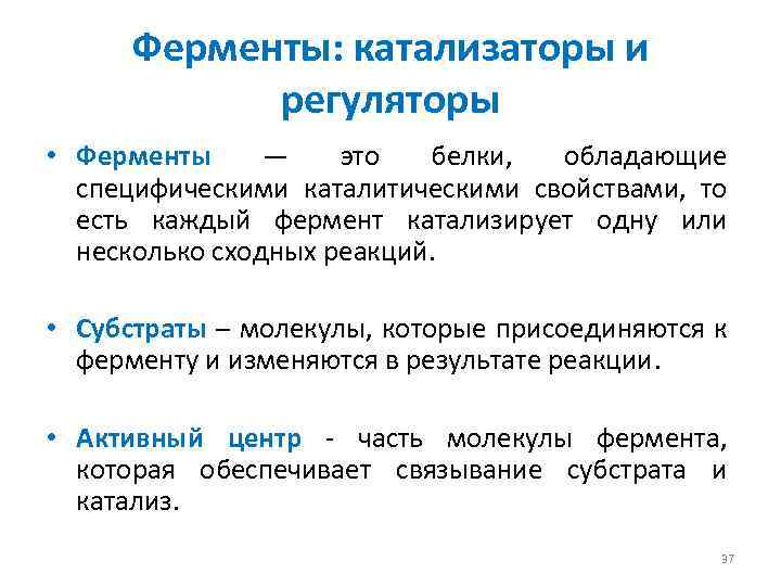 Ферменты: катализаторы и регуляторы • Ферменты — это белки, обладающие специфическими каталитическими свойствами, то