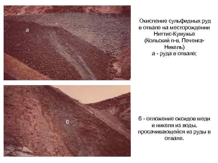 Окисление сульфидных руд в отвале на месторождении Ниттис-Кумужье (Кольский п-в, Печенга. Никель) а -