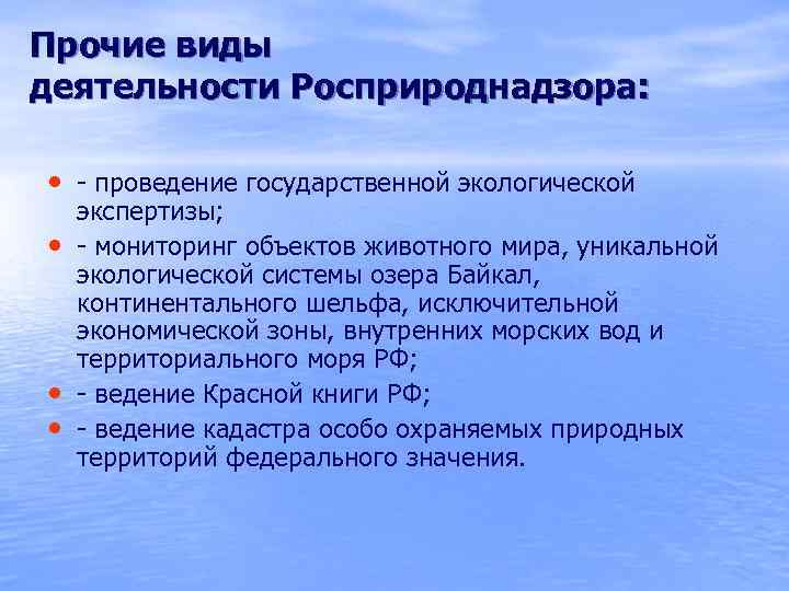 Прочие виды деятельности Росприроднадзора: • - проведение государственной экологической • • • экспертизы; -