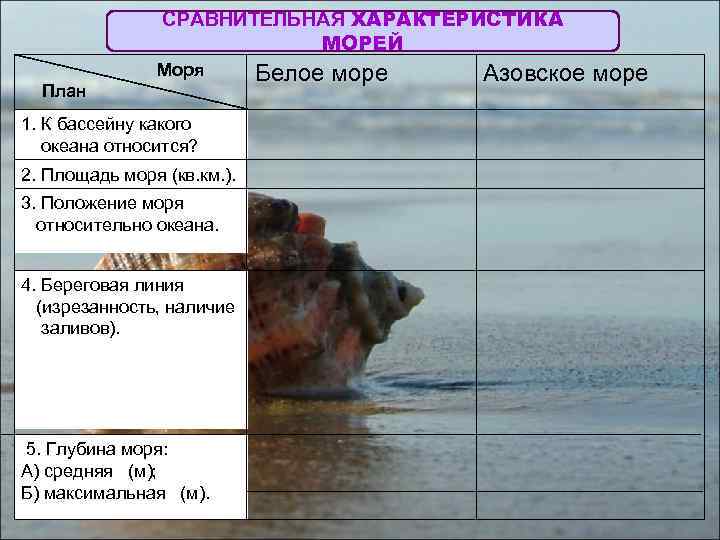 План сравнительной характеристики морей