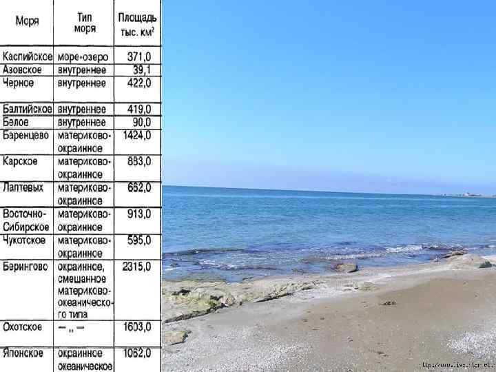 Температура морей России. Температура морей России таблица. Моря России таблица. Площадь морей России.