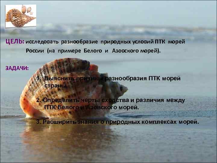 План характеристики птк моря