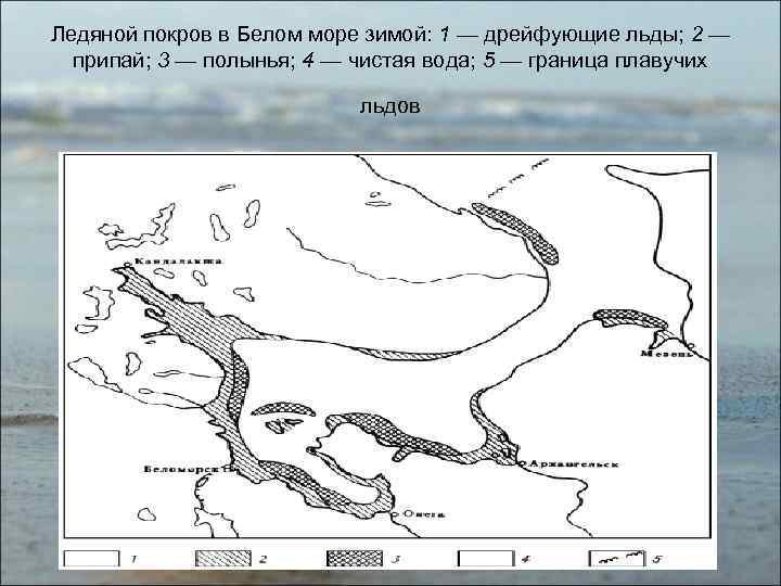 Ледовая карта белого моря