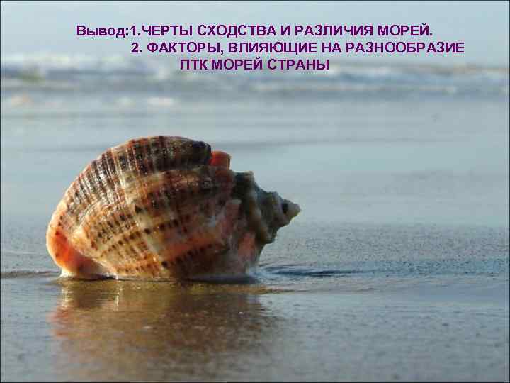 Вывод: 1. ЧЕРТЫ СХОДСТВА И РАЗЛИЧИЯ МОРЕЙ. 2. ФАКТОРЫ, ВЛИЯЮЩИЕ НА РАЗНООБРАЗИЕ ПТК МОРЕЙ