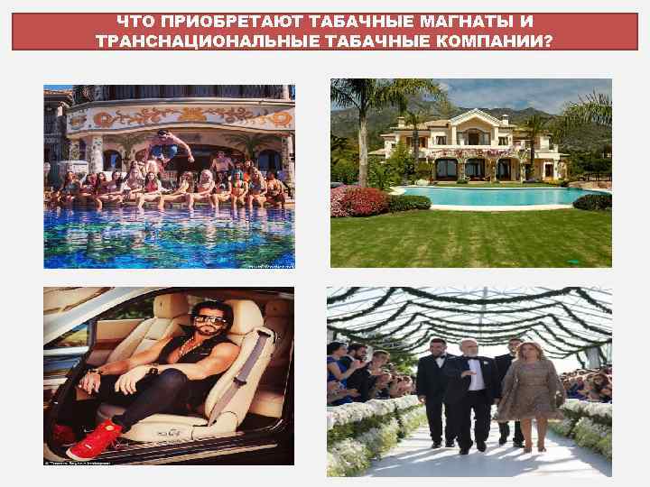 ЧТО ПРИОБРЕТАЮТ ТАБАЧНЫЕ МАГНАТЫ И ТРАНСНАЦИОНАЛЬНЫЕ ТАБАЧНЫЕ КОМПАНИИ? 