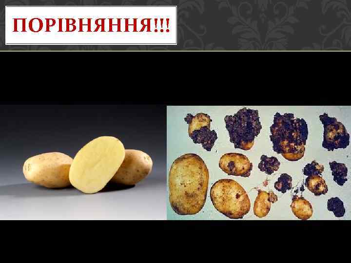 ПОРІВНЯННЯ!!! 