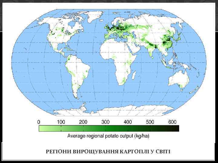 РЕГІОНИ ВИРОЩУВАННЯ КАРТОПЛІ У СВІТІ 