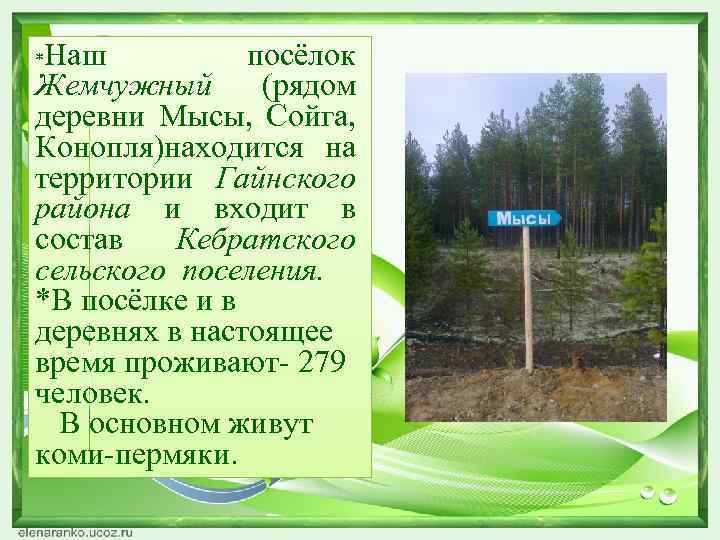 Деревня мысы. Жемчужный Гайнский район. Жемчужный поселок карта Гайнского района. Поселок жемчужный Пермский край. Пос. жемчужный Гайнский район Пермский край.