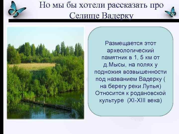 Но мы бы хотели рассказать про Селище Вадерку Размещается этот археологический памятник в 1,