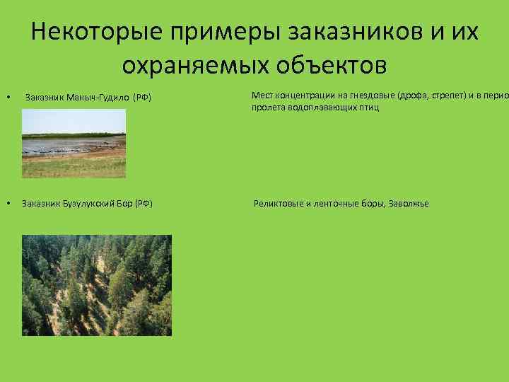 Некоторые примеры заказников и их охраняемых объектов • Заказник Маныч-Гудило (PФ) • Заказник Бузулукский