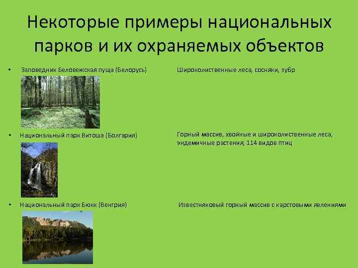 Некоторые примеры национальных парков и их охраняемых объектов • Заповедник Беловежская пуща (Белорусь) Широколиственные