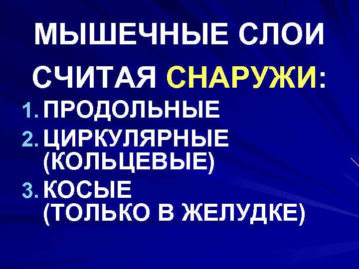 МЫШЕЧНЫЕ СЛОИ СЧИТАЯ СНАРУЖИ: 1. ПРОДОЛЬНЫЕ 2. ЦИРКУЛЯРНЫЕ (КОЛЬЦЕВЫЕ) 3. КОСЫЕ (ТОЛЬКО В ЖЕЛУДКЕ)