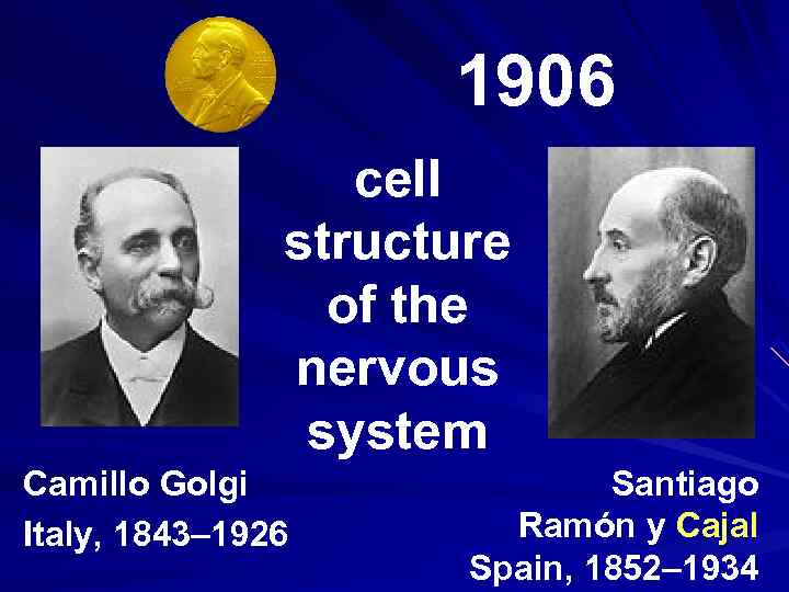 1906 cell structure of the nervous system Camillo Golgi Italy, 1843– 1926 Santiago Ramón