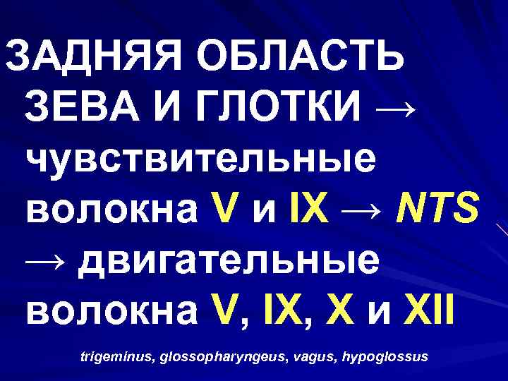 ЗАДНЯЯ ОБЛАСТЬ ЗЕВА И ГЛОТКИ → чувствительные волокна V и IX → NTS →