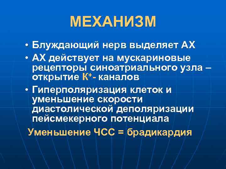 МЕХАНИЗМ • Блуждающий нерв выделяет АХ • АХ действует на мускариновые рецепторы синоатриального узла