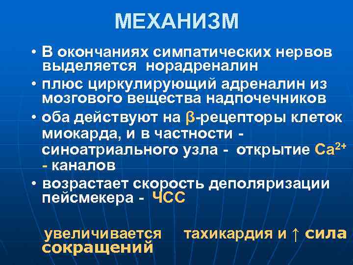 МЕХАНИЗМ • В окончаниях симпатических нервов выделяется норадреналин • плюс циркулирующий адреналин из мозгового