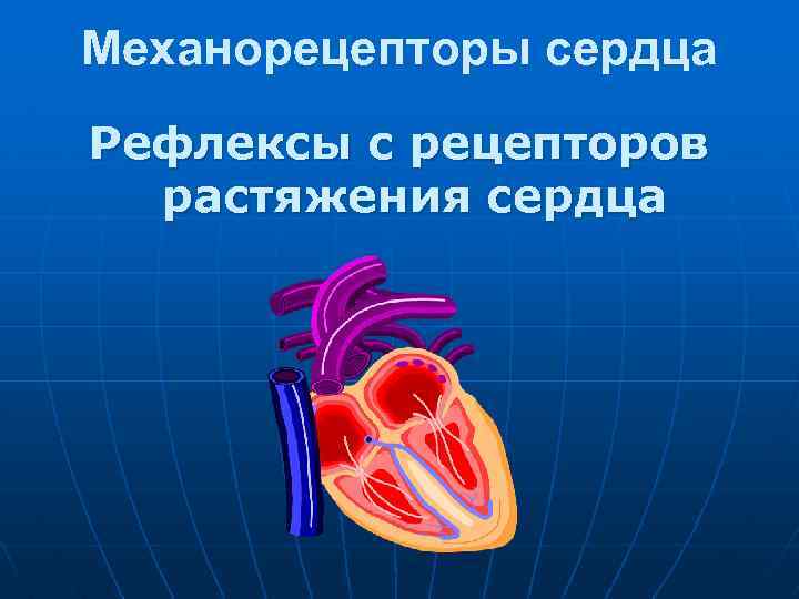 Механорецепторы сердца Рефлексы с рецепторов растяжения сердца 