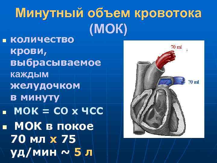 Минутный объем кровотока (МОК) n n n количество крови, выбрасываемое каждым желудочком в минуту