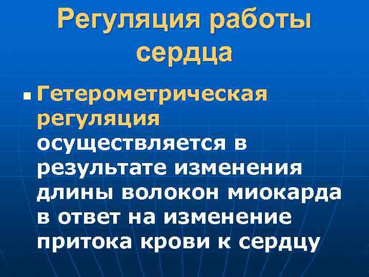 Регуляция работы сердца n Гетерометрическая регуляция осуществляется в результате изменения длины волокон миокарда в