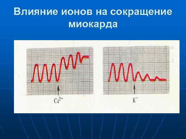 Влияние ионов на сокращение миокарда 