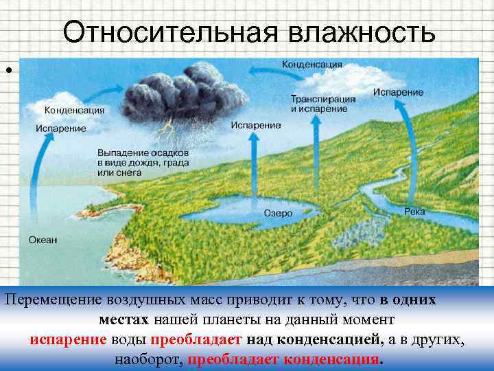 Относительная влажность • Чтобы судить о степени влажности воздуха, важно знать, насколько содержащийся в