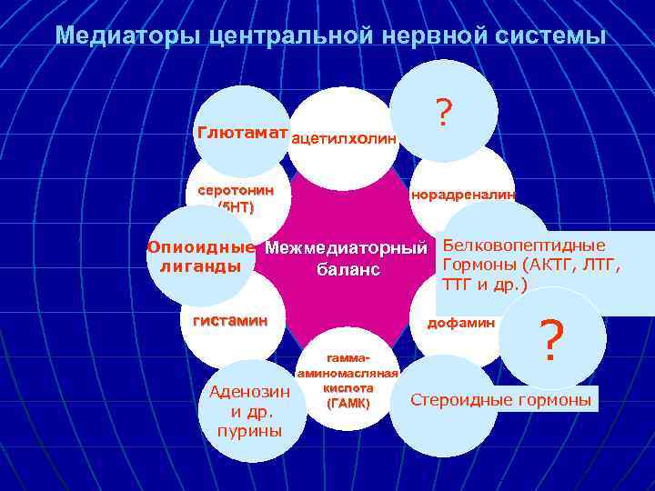 Медиаторы центральной нервной системы Глютамат ацетилхолин серотонин (5 HT) ? норадреналин Опиоидные Межмедиаторный Белковопептидные