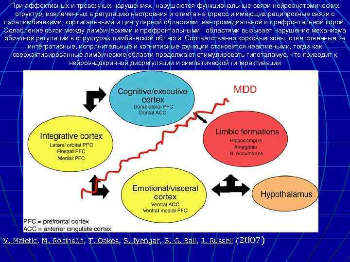 При аффективных и тревожных нарушениях нарушаются функциональные связи нейроанатомических структур, вовлеченных в регуляцию настроения