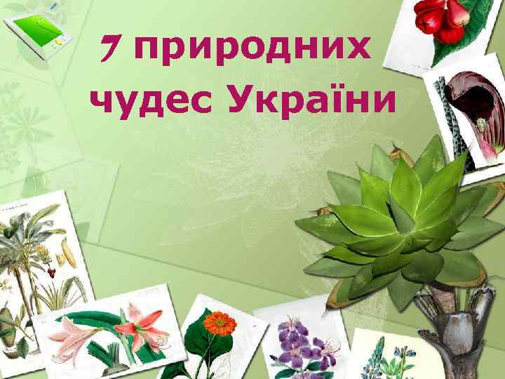 7 природних чудес України 