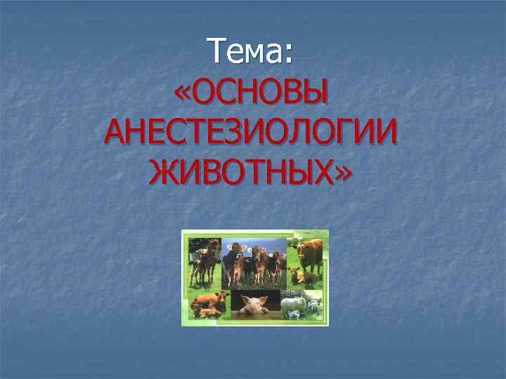 Тема: «ОСНОВЫ АНЕСТЕЗИОЛОГИИ ЖИВОТНЫХ» 