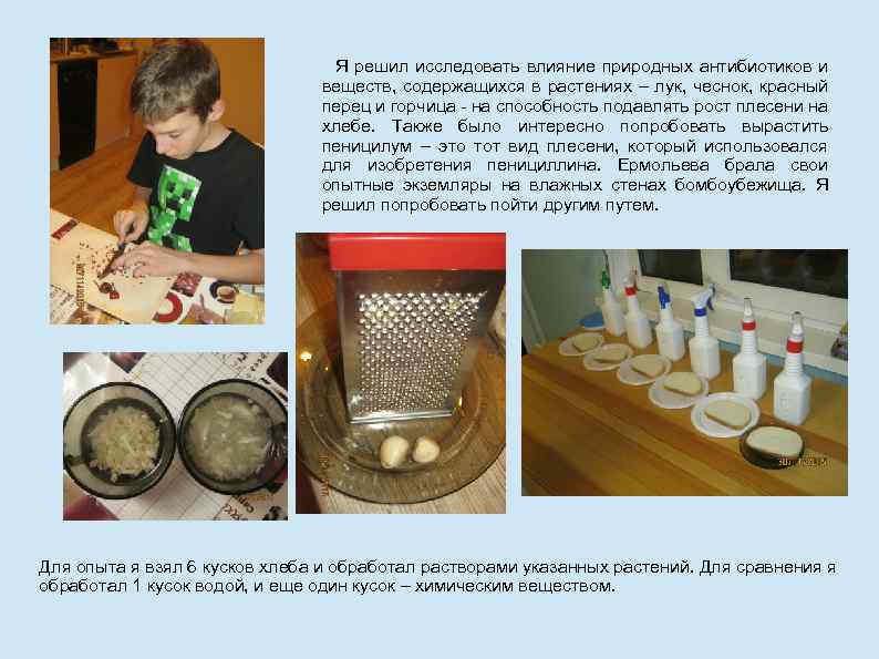 Я решил исследовать влияние природных антибиотиков и веществ, содержащихся в растениях – лук, чеснок,
