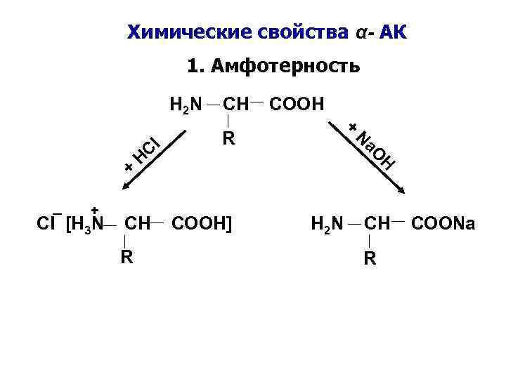 Химические свойства α- АК 1. Амфотерность H 2 N R H CH a. O