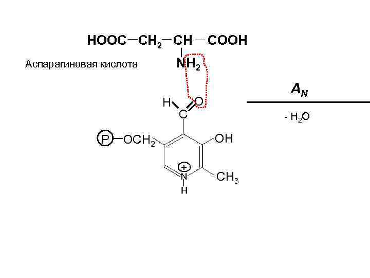 Hooc ch. Ch2 c nh2 Cooh. Hooc —ch2 —nh2. Hooc (ch2)2ch (nh2) Cooh. Nh2ch2ch2ch2cooh название аминокислоты.