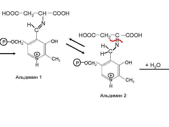 HOOC CH 2 CH H P COOH N C OH OCH 2 + Альдимин