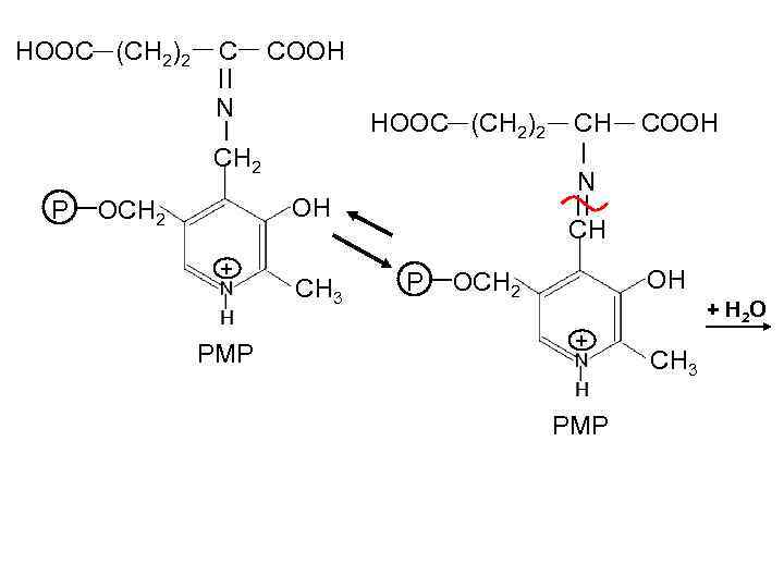 Ch3 cooh c2h5oh. Белок + ch3cooh. Биоорганическая химия белки. Hooc − Ch 2 − Cooh декарбоксилирование. Hooc ch2 Ch Cooh c2h5 название.