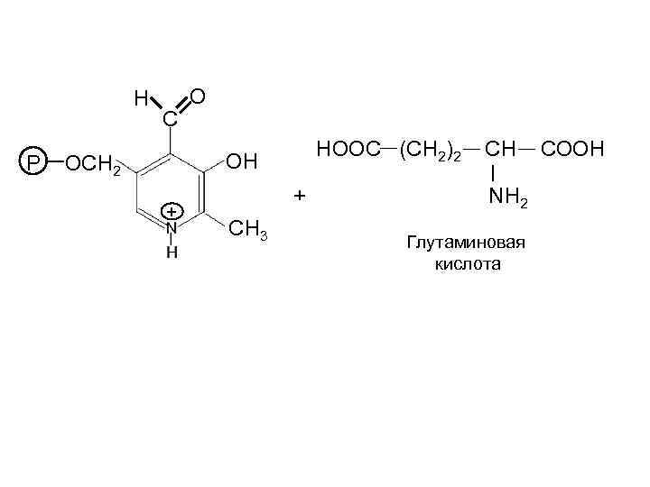 H P C O HOOC (CH 2)2 OH OCH 2 + + CH 3