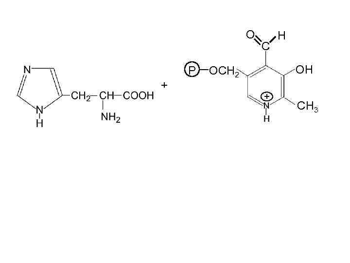 O P + C H OH OCH 2 + CH 3 