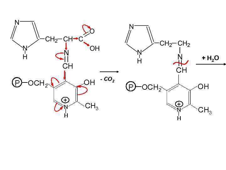 N N CH P CH OH OCH 2 + + H 2 O CH