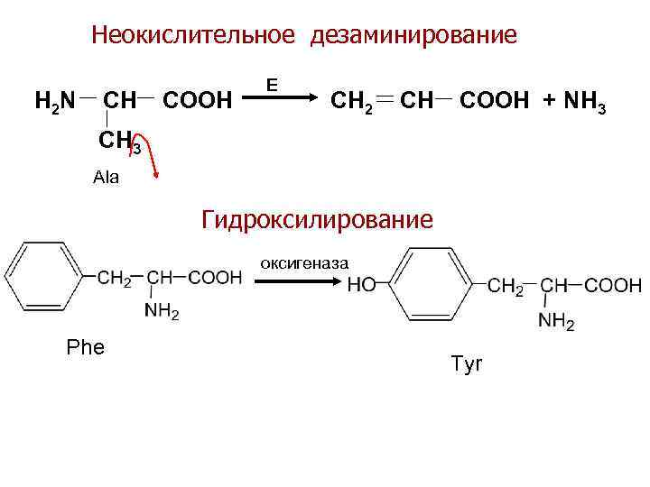 Схема получения аминокислоты из метана