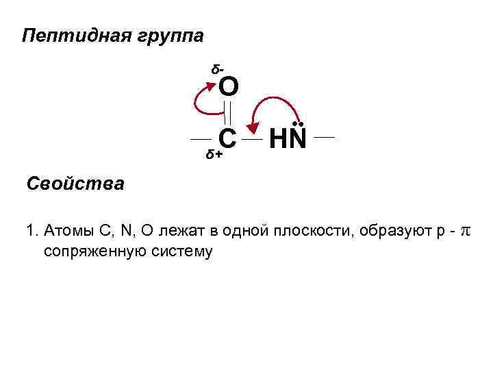 Пептидная группа δ- O C δ+ HN Свойства 1. Атомы C, N, O лежат