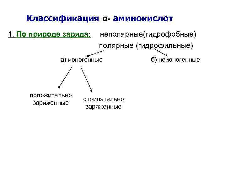 Классификация α- аминокислот 1. По природе заряда: неполярные(гидрофобные) полярные (гидрофильные) а) ионогенные положительно заряженные