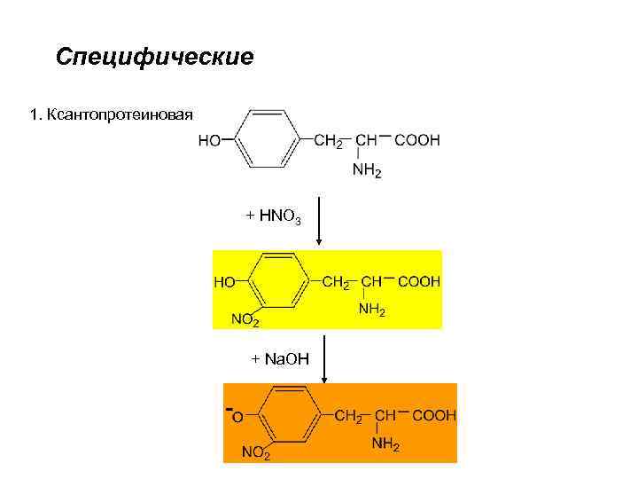 Специфические 1. Ксантопротеиновая + HNO 3 + Na. OH 