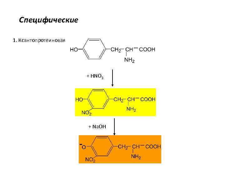 Специфические 1. Ксантопротеиновая + HNO 3 + Na. OH 
