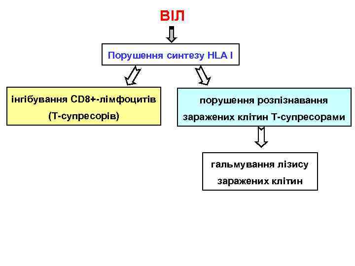 ВІЛ Порушення синтезу HLA І інгібування CD 8+-лімфоцитів порушення розпізнавання (Т-супресорів) заражених клітин Т-супресорами