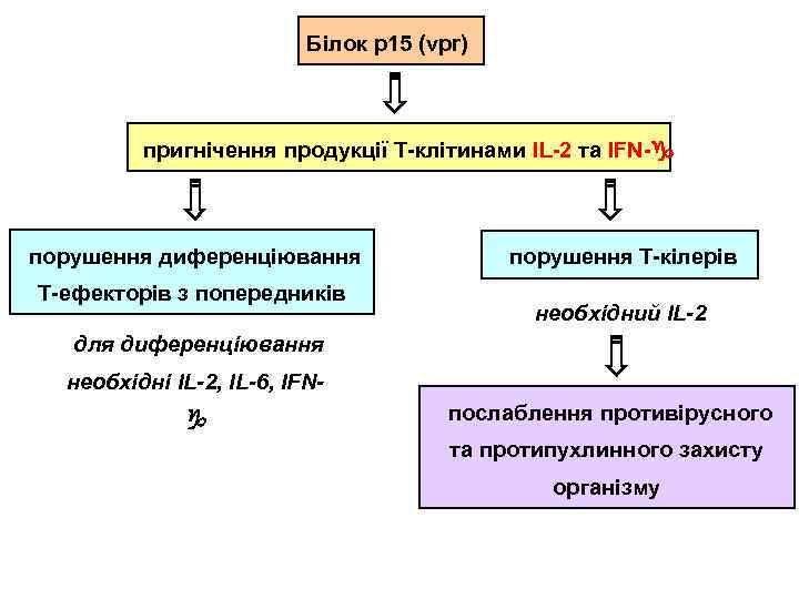 Білок р15 (vpr) пригнічення продукції Т-клітинами IL-2 та IFN- порушення диференціювання Т-ефекторів з попередників