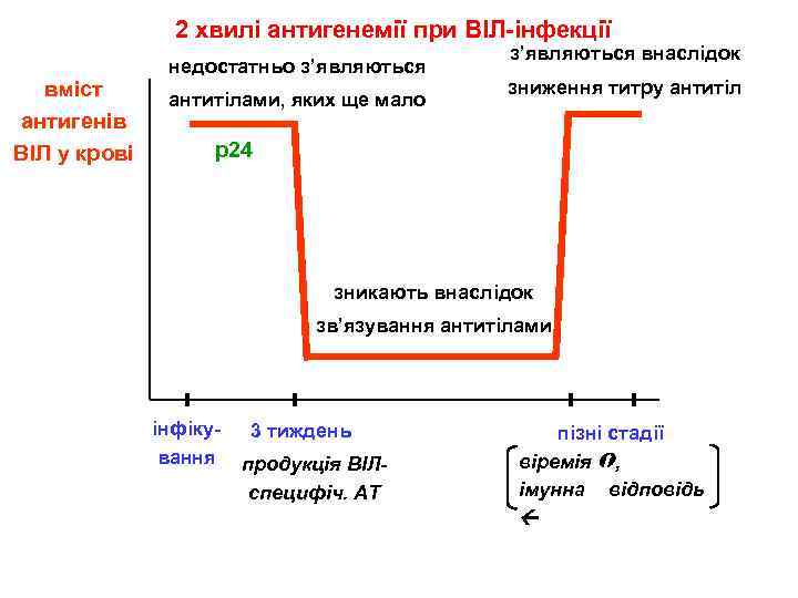 2 хвилі антигенемії при ВІЛ-інфекції вміст антигенів ВІЛ у крові недостатньо з’являються антитілами, яких