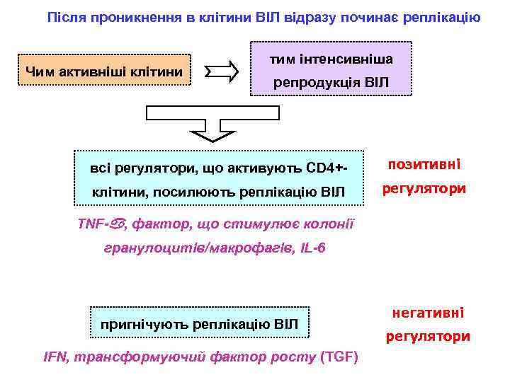 Після проникнення в клітини ВІЛ відразу починає реплікацію Чим активніші клітини тим інтенсивніша репродукція