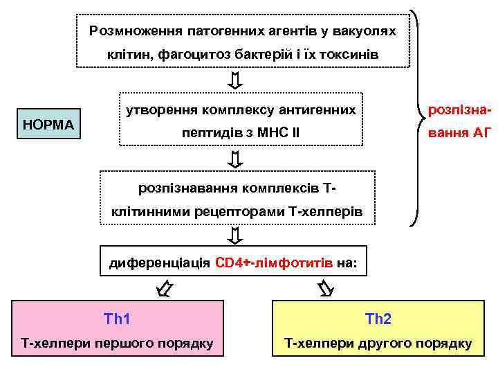 Розмноження патогенних агентів у вакуолях клітин, фагоцитоз бактерій і їх токсинів утворення комплексу антигенних
