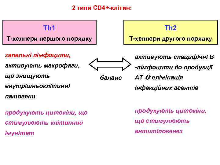 2 типи CD 4+-клітин: Th 1 Th 2 Т-хелпери першого порядку Т-хелпери другого порядку