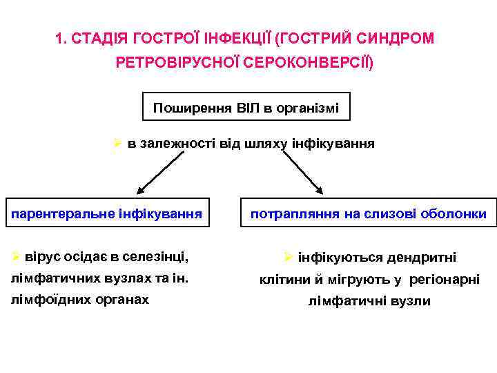 1. СТАДІЯ ГОСТРОЇ ІНФЕКЦІЇ (ГОСТРИЙ СИНДРОМ РЕТРОВІРУСНОЇ СЕРОКОНВЕРСІЇ) Поширення ВІЛ в організмі Ø в